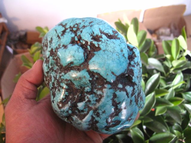 21lb VAIN GREEN polished Turquoise Rough NuggeT  