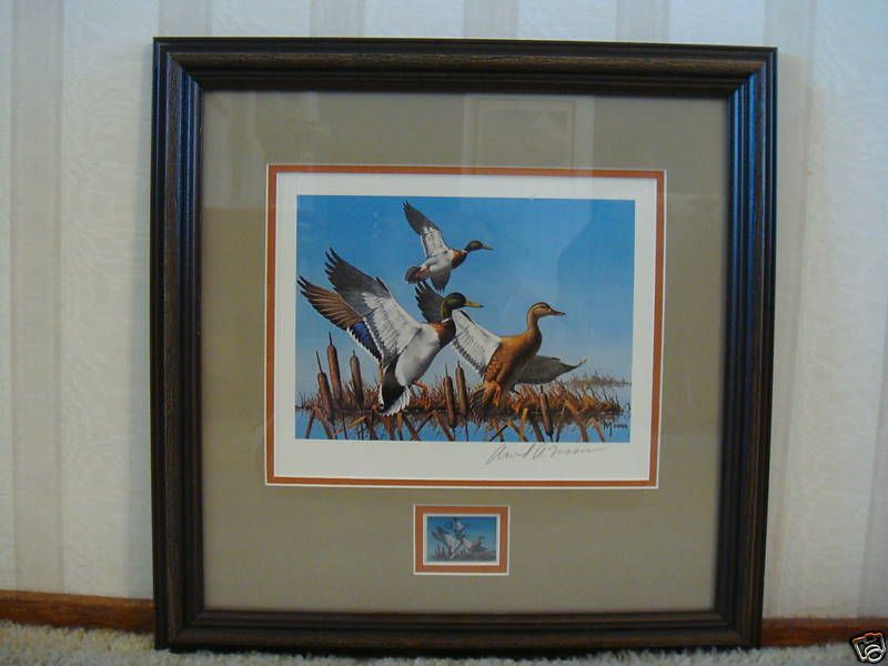 1977 Minnesota Duck Stamp Print    1977  