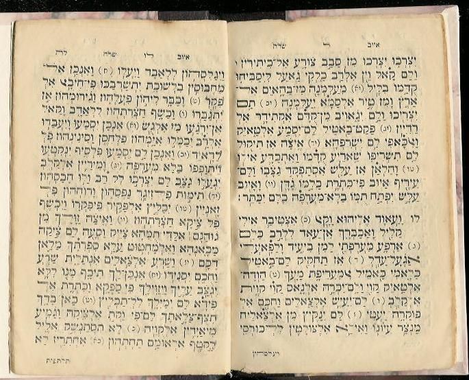 1889 RARE ALEPPO Iyov Translated ~ judaica hebrew book  