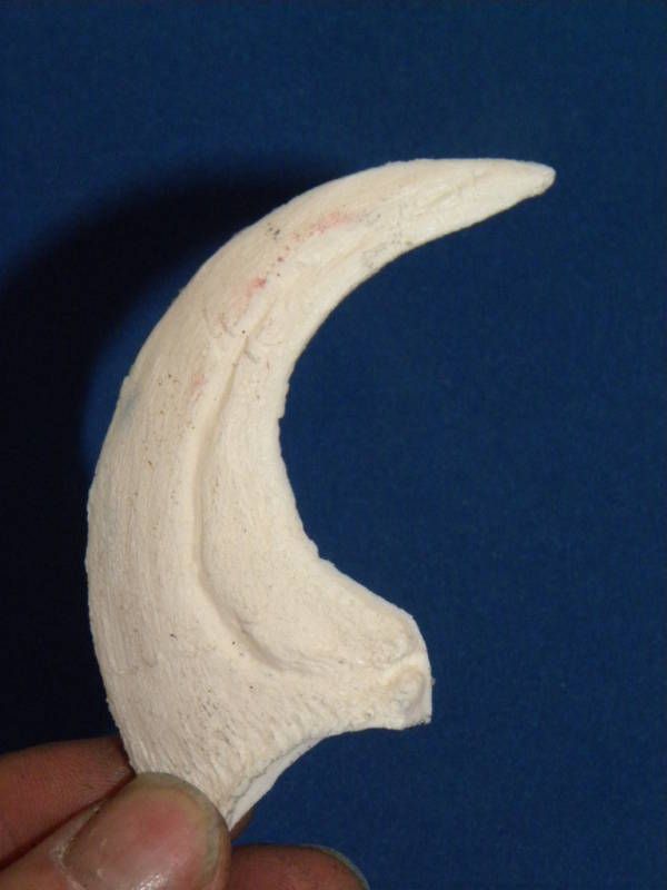 DEINONYCHUS JURASSIC PARK VELOCIRAPTOR CLAW REPLICA  