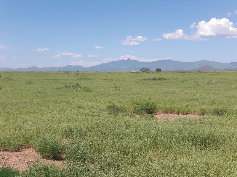 ARIZONA~PREMIUM 7.45 AC~BORDERS CREEK/POWER/PHONE~MAGNIFICENT LOT 