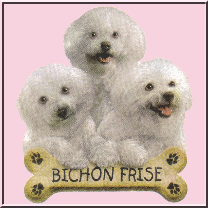 Bichon Frise Puppies With Bone Dog Shirt S 2X,3X,4X,5X  