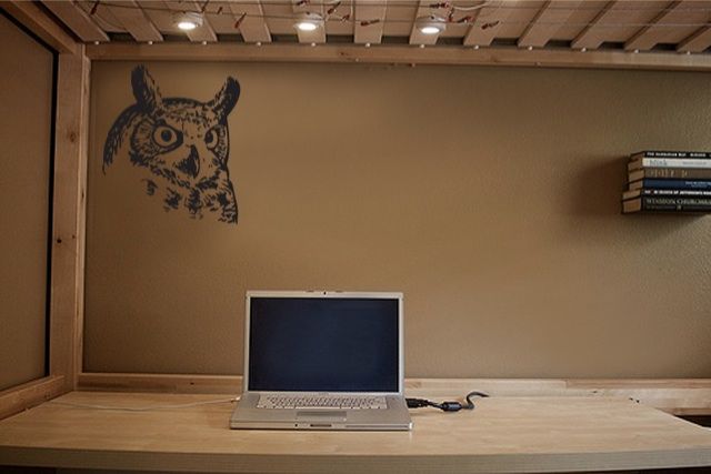 Vinyl Wall Decal Sticker Owl  