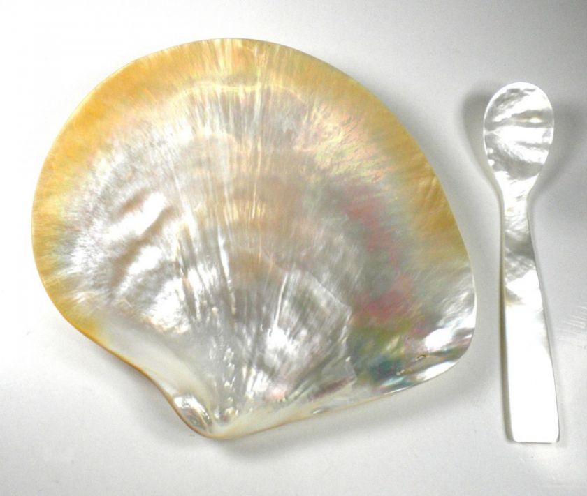 Mother of Pearl Caviar Condiment Server Dish and Spoon Set 4.5 5 NEW 