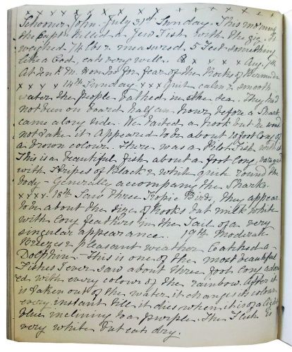 Travels in America. Journal of Nicholas Cresswell, of Edale in 