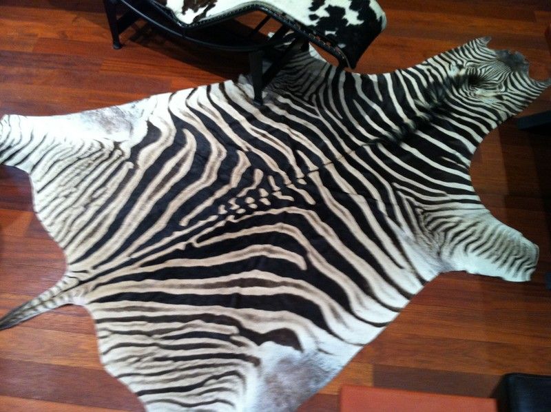 Alfombra decoración Piel de Cebra/Zebra fur/Peau de Zèbra/Equus 