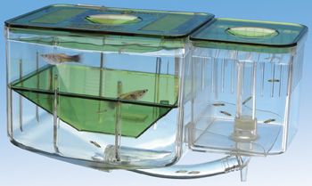 Aquarium Nursery Fish Breeding AN2  