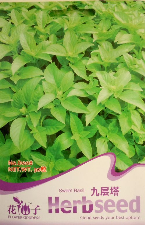 D008 Sweet Basil Ocimun Gralissimum Thai Herb Seed Pack  