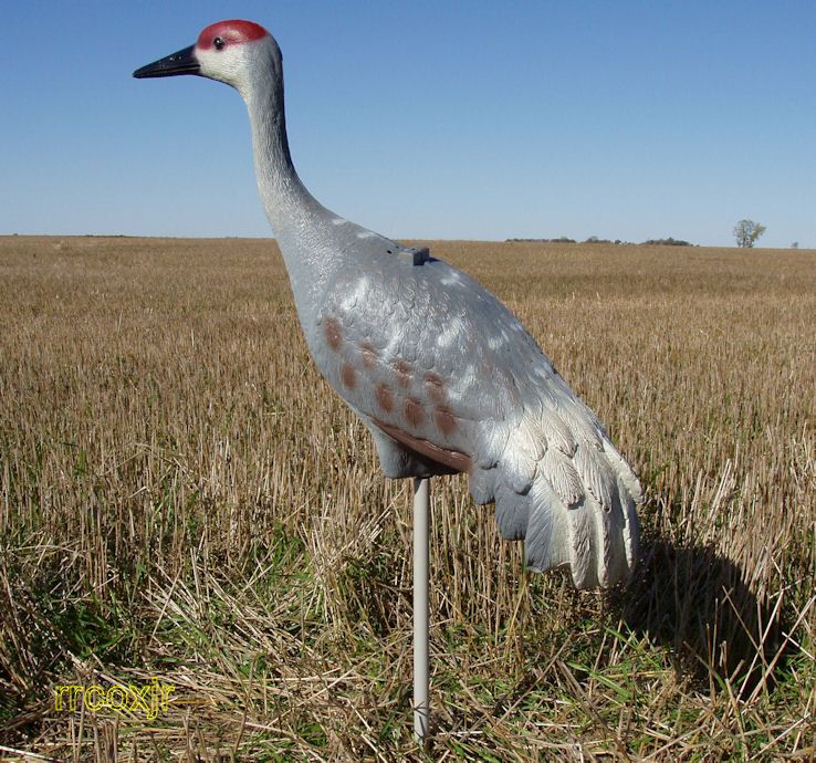 CARRY LITE SANDHILL CRANE CONFIDENCE DECOY NEW 051862016005  