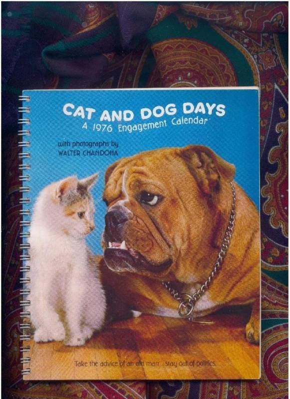 Cat and Dog Days 1979 Calendar art by Walter Chandoha  