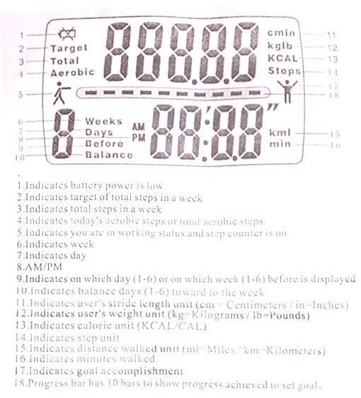   Run Step Pedometer Walking Calorie LCD Time Counter Distance  