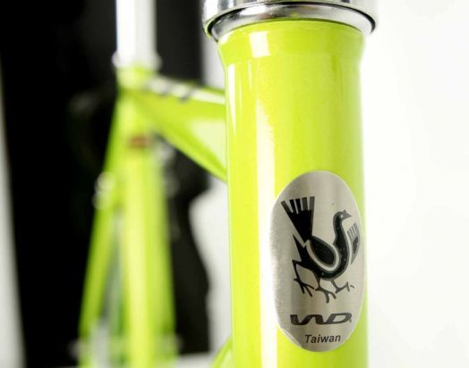 Ruben tec fixed gear bike/single speed bike/track bike (Apple Green 