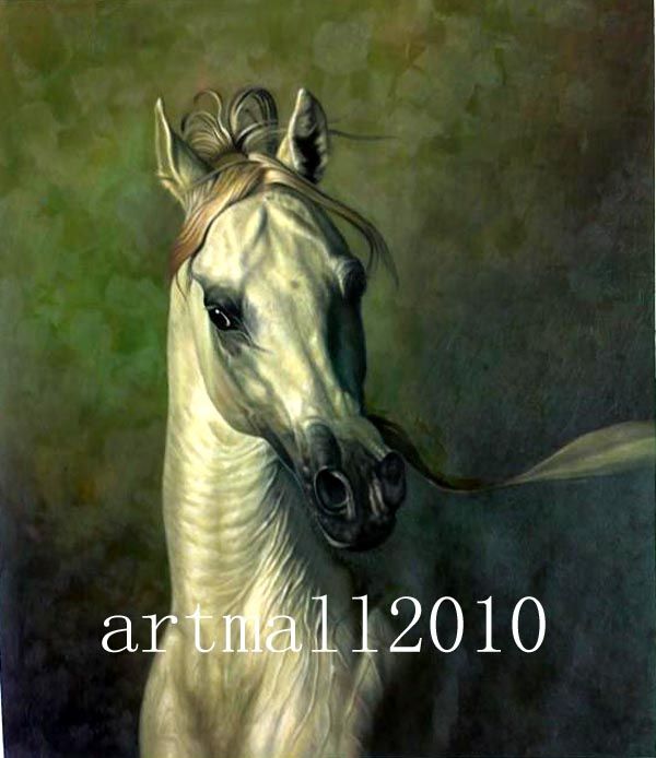 Sale great wild animal oil painting Horse  